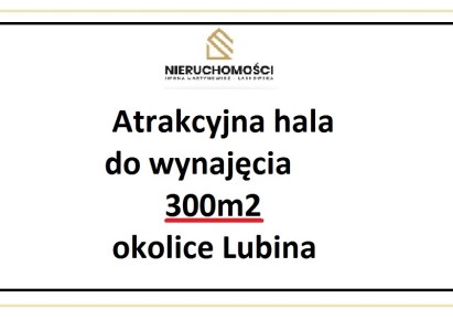 hala na wynajem - Lubin