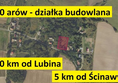 działka na sprzedaż - Ścinawa (gw), Dąbrowa Dolna