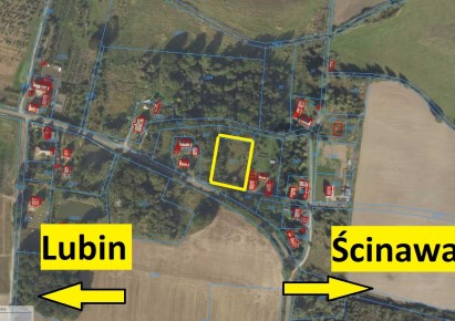 działka na sprzedaż - Ścinawa (gw), Dąbrowa Dolna, Dąbrowa Środkowa