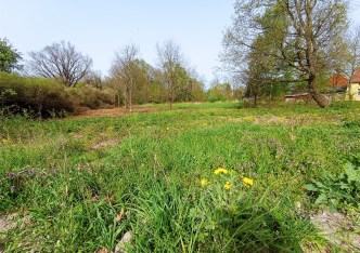 działka na sprzedaż - Ścinawa (gw), Dąbrowa Dolna