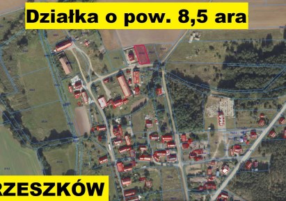 działka na sprzedaż - Wińsko, Orzeszków