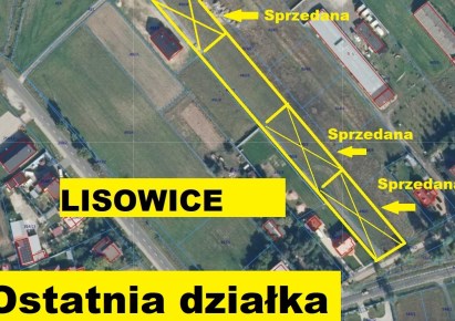 działka na sprzedaż - Prochowice (gw), Lisowice