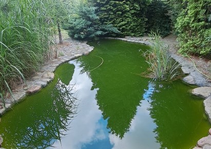 działka na sprzedaż - Lubin, Przylesie