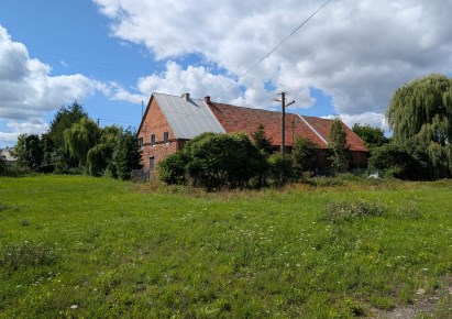dom na wynajem - Ścinawa