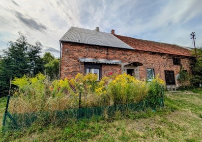 dom na wynajem - Ścinawa