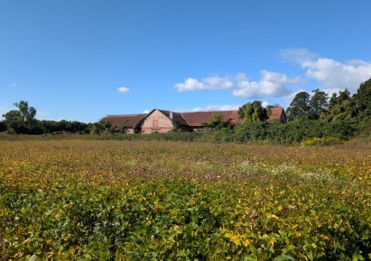 działka na sprzedaż - Ścinawa
