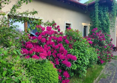 dom na sprzedaż - Lubin (gw), Miłosna