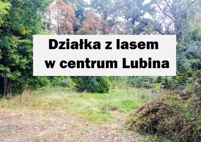 działka na sprzedaż - Lubin, Centrum
