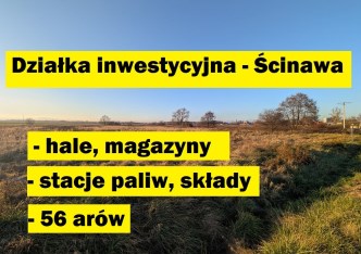 działka na sprzedaż - Ścinawa
