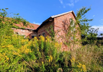 obiekt na sprzedaż - Ścinawa