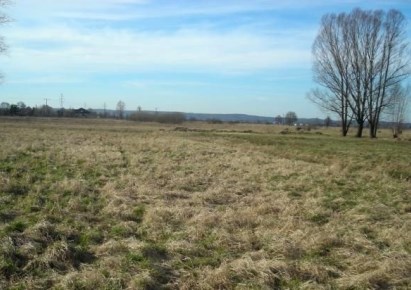 działka na sprzedaż - Lubin