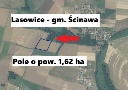 działka na sprzedaż - Ścinawa