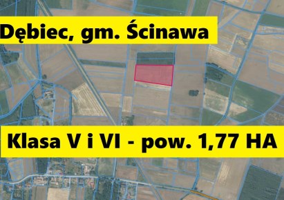działka na sprzedaż - Ścinawa (gw), Dębiec