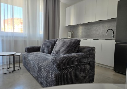 mieszkanie na wynajem - Lubin, Zalesie