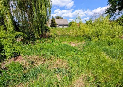 dom na sprzedaż - Lubin (gw), Niemstów