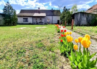 dom na sprzedaż - Wińsko