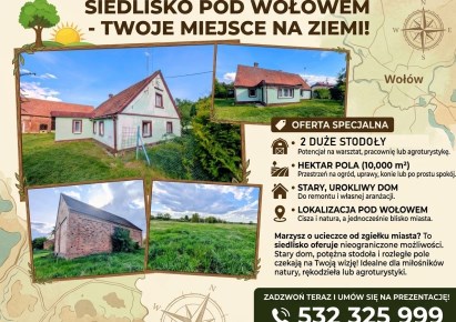 dom na sprzedaż - Wołów (gw), Boraszyn